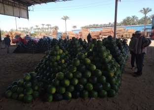 أسعار البطيخ في مزاد حلقة البيع بدمياط.. «حمار وحلاوة» (صور وفيديو)