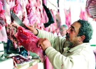 تجار: «سوق اللحوم المستوردة تعاني من ركود حاد بالمحافظات.. مفيش زبون»