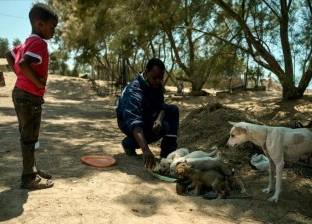 لأول مرة في غزة.. فلسطيني يفتتح جمعية لرعاية الحيوانات الشاردة
