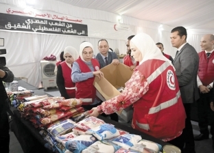 تعاون «مصري - عربي» لتدشين قافلة مساعدات إنسانية جديدة إلى أهالي «غزة»