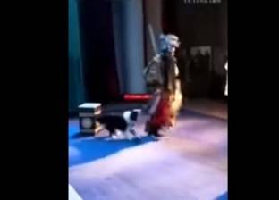 بالفيديو| كلب يهاجم ممثلا أثناء أداء دوره على المسرح بشكل طريف