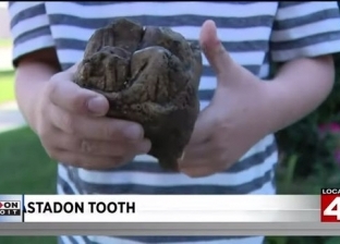 طفل أمريكي يعثر على بقايا حيوان نادر انقرض منذ آلاف السنين.. اسمه الماستودون