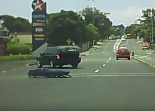 بالفيديو| جثمان يسقط من سيارة مُسرعة قبل دفنه