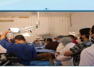 فيديو.. تفاصيل خضوع "الأسد هوجان" لجراحة دقيقة بحديقة حيوان الجيزة
