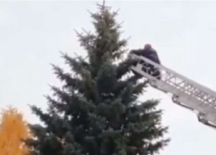 بالفيديو| إنقاذ طالب أجنبي علق على قمة شجرة في روسيا