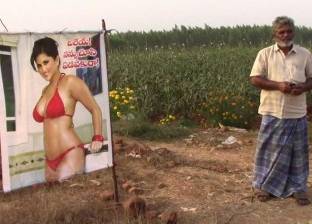 بالفيديو| "لمنع الحسد".. مزراع هندي يضع صورة ممثلة إباحية في أرضه