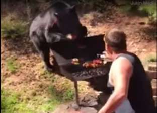 بالفيديو| رجل يصارع دبا ضخما على لحم مشوي