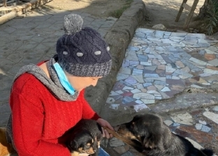 سيدة بالسويس تساعد كلاب الشوارع «الحوامل»: أقدم لها الطعام وألعب معها (صور)