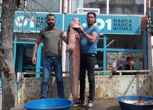 تركي يصطاد بصنارته سمكة "سلور" عملاقة شمالي البلاد