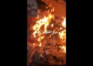 «حرقت آلاف الجنيهات».. فيديو صادم من كائن الهوهوز بعد تقديم بلاغ ضدها