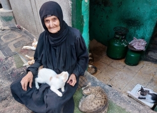 «30 عاما صُحبة مع القطط».. «غالية» سبعينية جعلت بيتها ملجأ لتربية الحيوانات