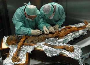 "ماذا أكل قبل وفاته؟".. علماء يكشفون آخر وجبة لشخص مات منذ 5300 سنة