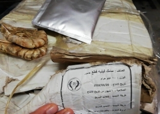 بالصور| ضبط 2 طن أسماك فاسدة في ثلاجة مطعم شهير بمدينة نصر