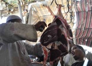 كيلو البلدي بـ110 والسوداني بـ85.. أسعار اللحوم في منافذ "الزراعة"