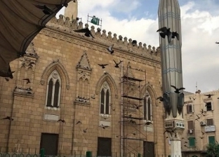 سر انتشار وتحليق الحمام على مسجد الحسين.. منظر بديع «فيديو»