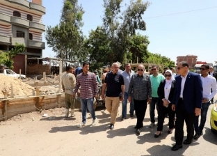 محافظ الشرقية يتفقد تطوير طريق أبو حماد وإنشاء متنزه أمام قرية الشوبك