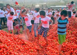"حرب الطماطم" تغرق مدينة إسبانية في اللب الأحمر