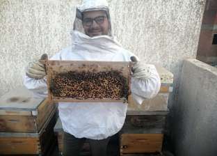دراسة «الزراعة» تقود محمد لإنشاء «منحل عسل»: «قريب هاسجل علامة تجارية»