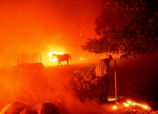 حرائق الغابات تشتد في كاليفورنيا وتجبر الأمريكيين على إخلاء منازلهم