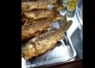 بالفيديو| سمكة مقلية تعود للحياة في أحد المطاعم