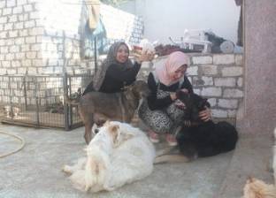 متطوعون فى ملاجئ رعاية الحيوانات الأليفة: نحن مأوى من لا مأوى له