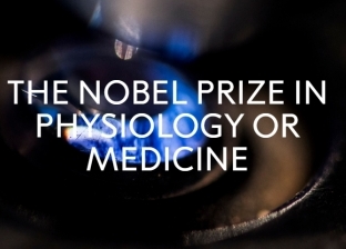 أرقام في "نوبل للطب": 12 سيدة فزن بها من بين 219 عالما