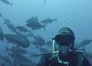 بالفيديو| غواص يلتقط "سيلفي" وسط الأسماك المفترسة