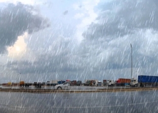 بالفيديو| هطول أمطار رعدية في عدد من محافظات السعودية