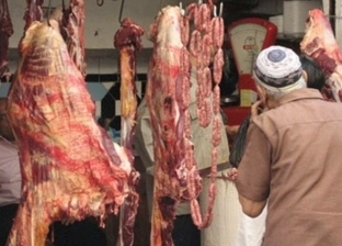 قبل شراء الأضحية.. الفرق بين لحم العجل ولحم البقر ولحم الجاموس