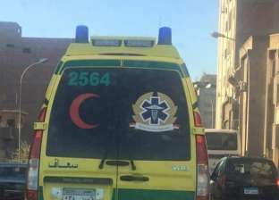 مصرع تاجر فاكهة وإصابة 3 آخرين في حادث سير بالشيخ زايد