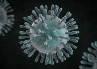 خلال الصيف.. علماء يحذرون من موجة ثانية لفيروس كورونا