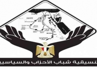 نواب تنسيقية الأحزاب: جهود دبلوماسية لمصر لفرض الهدنة داخل القدس
