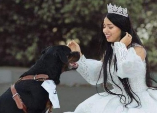 عاجل.. أول تعليق من الافتاء بشأن زواج هبة مبروك والكلب: ازدراء للشعائر