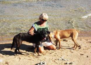 بعد وفاتها.. صفحة سيدة دهب على فيس بوك تجمع تبرعات لإنقاذ الكلاب