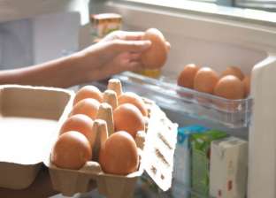 الرف الأوسط أفضل مكان.. لماذا لا يجب تخزين البيض في «باب الثلاجة»؟