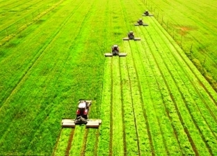 الأمم المتحدة: مصر قطعت شوطا كبيرا في زيادة الإنتاجية الزراعية