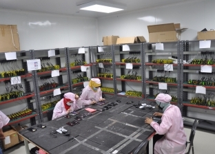 لأول مرة.. مصنع عالمي يبدأ تجميع هواتف المحمول في مصر (صور)