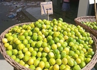 خبير زراعي يوضح أسباب ارتفاع سعر الليمون.. التغيرات المناخية أبرزها