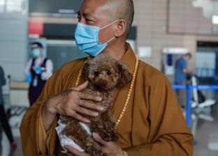 راهب بوذي يرعى 8 آلاف كلب وينفق عليها 4.5 مليون جنيه سنويا: أوفى صديق