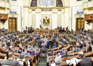 البرلمان يوافق مبدئيا على عقوبات جديدة ضد التنمر تصل للحبس والغرامة