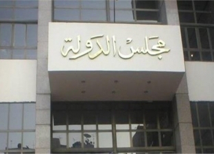 2 فبراير.. إعادة المرافعة في دعوى استرداد "نفرتيتي" من ألمانيا