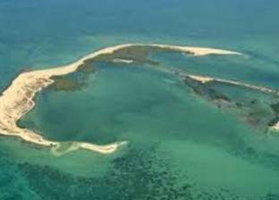 حفريات جديدة في جزيرة بأبو ظبي تكشف آثار جديدة للإنسان القديم