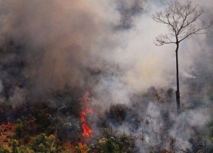 بعد حرائق غابات الأمازون.. النار تأكل رئة الأرض الثانية في أفريقيا