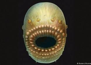 علماء: أقدم أسلاف الإنسان كان قبيحا وبفم ضخم