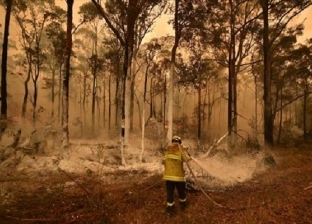 استراليا: إرسال قطع عسكرية لإغاثة المناطق المتضررة من حرائق الغابات
