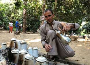 مزارع المانجو بالإسماعيلية تستقبل زوارها بـ«القهوة العربي والتمر»