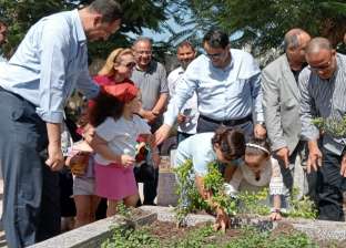 زراعة 300 شجرة في 5 مدارس بالغربية.. «رئة جديدة للكرة الأرضية»