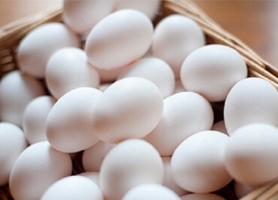 أطباء عن خطورة البيض: يسبب التسمم وجلطات القلب.. وهذه الطريقة الصحية لتناوله