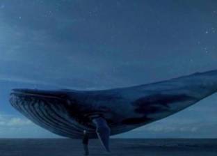 انتحار مراهقتين بسبب لعبة الحوت الأزرق