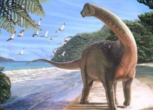 بالفيديو والصور| كواليس اكتشاف الديناصور المصري "منصوراصورس"